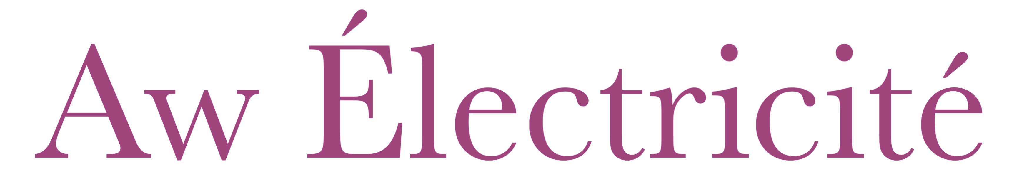 Electric Car Chargers Ireland Logo